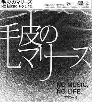 毛皮のマリーズ　「ＮＯ　ＭＵＳＩＣ，　ＮＯ　ＬＩＦＥ．」 Amazon.co.jp: NO MUSIC， NO LIFE．: ミュージック